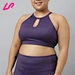 plus size bra